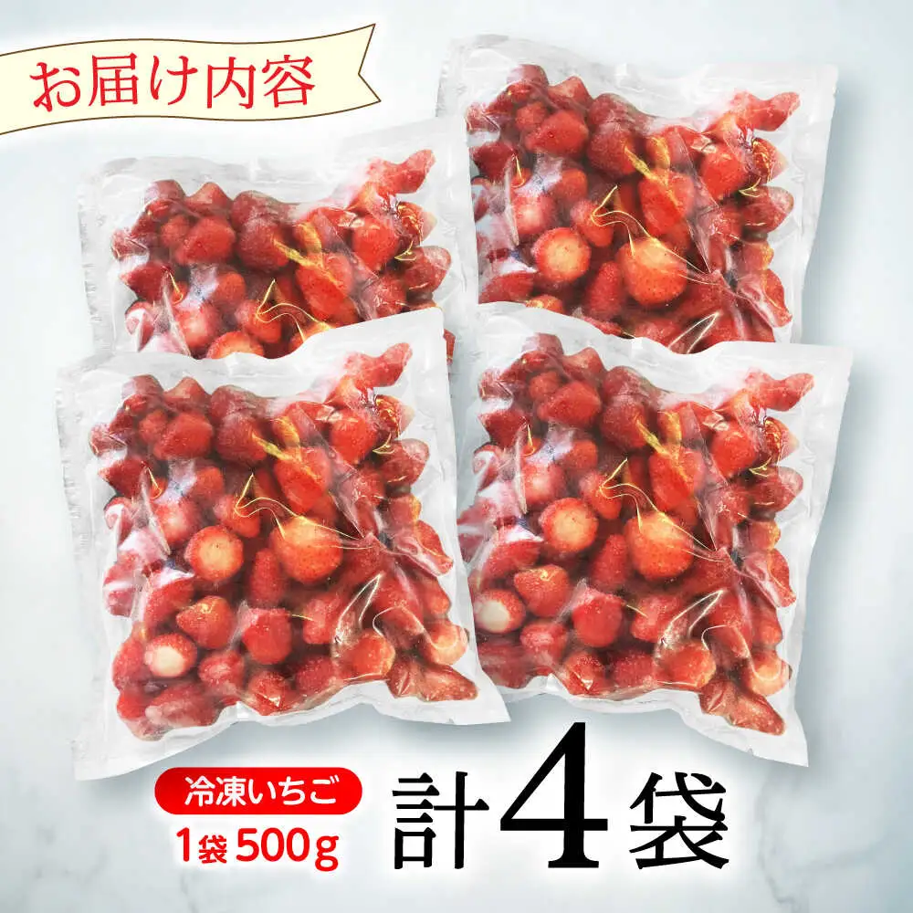 【業務用】大容量 長崎いちご 4袋セット / 冷凍 冷凍フルーツ いちご イチゴ 苺 2kg / 諫早市 / エスジーエス株式会社[AHEQ005]