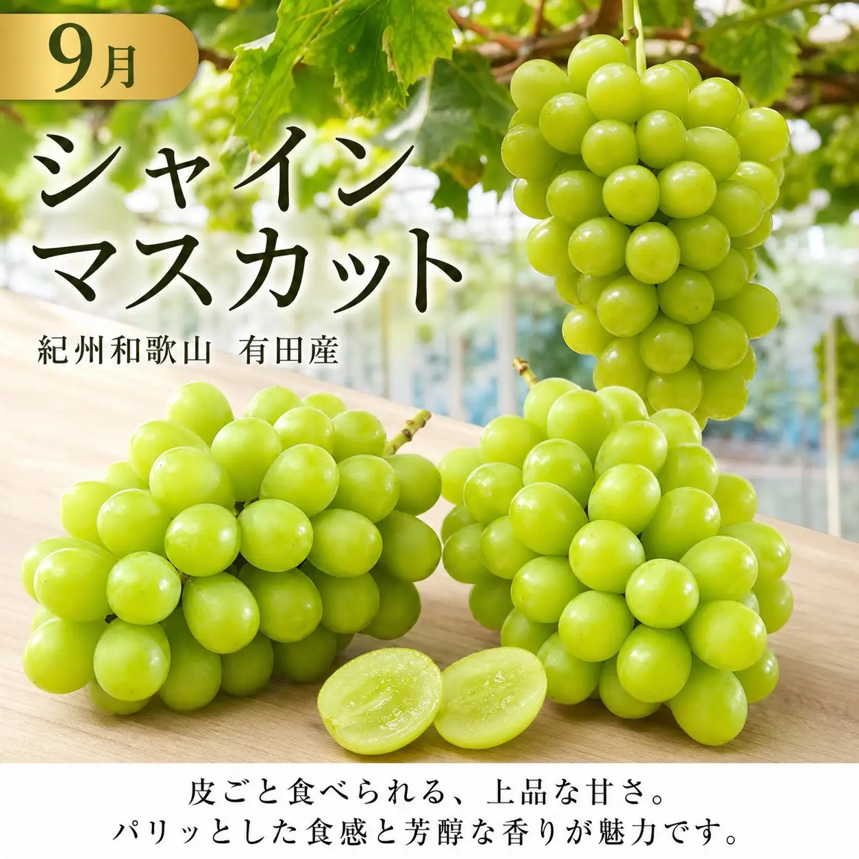 定期便 8・9月発送 紀州有田産旬のフルーツセット（種なし巨峰＆梨セット×計約2kg・シャインマスカット×約2kg）