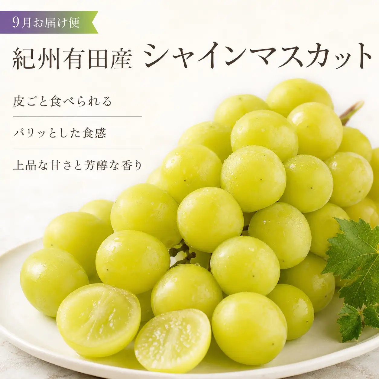 定期便 8・9月発送 紀州有田産旬のフルーツセット（梨×3玉 化粧箱入・シャインマスカット×2房（約1kg〜1.4kg））