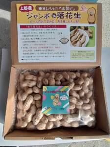 ジャンボ落花生約1kg | 落花生 ピーナッツ おつまみ おいしい グルメ 兵庫県 上郡町