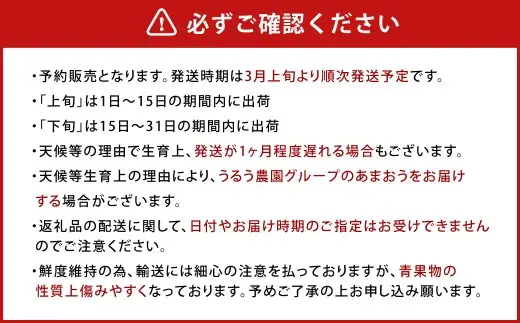 うるう農園のあまおう 4パック ＋ 1パック 合計5パック（約1425g） 訳あり あまおう （小粒・いびつ・大型） 【2027年3月上旬～4月上旬発送予定】 苺 いちご イチゴ 果物 フルーツ デザート 冷蔵