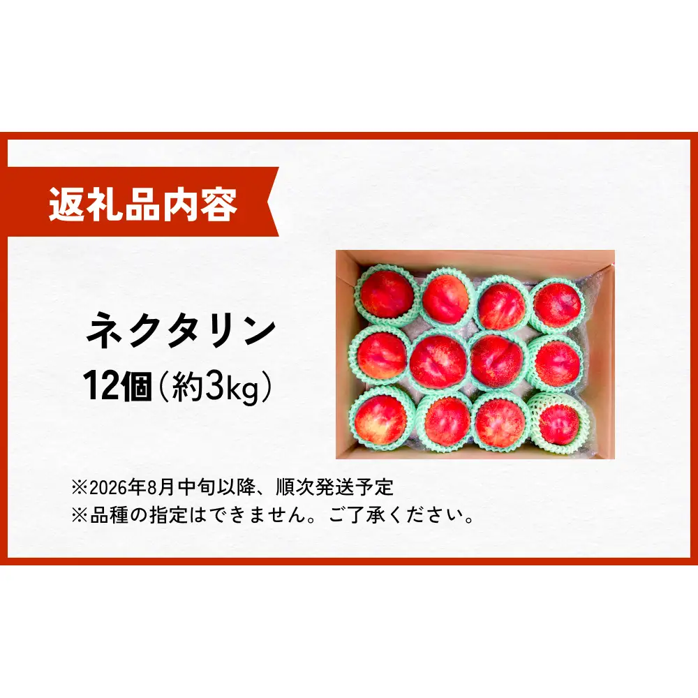 【先行予約】【訳あり】富山県産 ネクタリン 12個 （約3kg） ＜2026年8月中旬以降順次発送＞