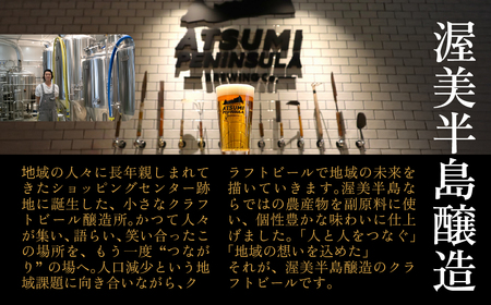 渥美半島醸造ブリュワーズセレクト クラフトビール３本飲み比べセット