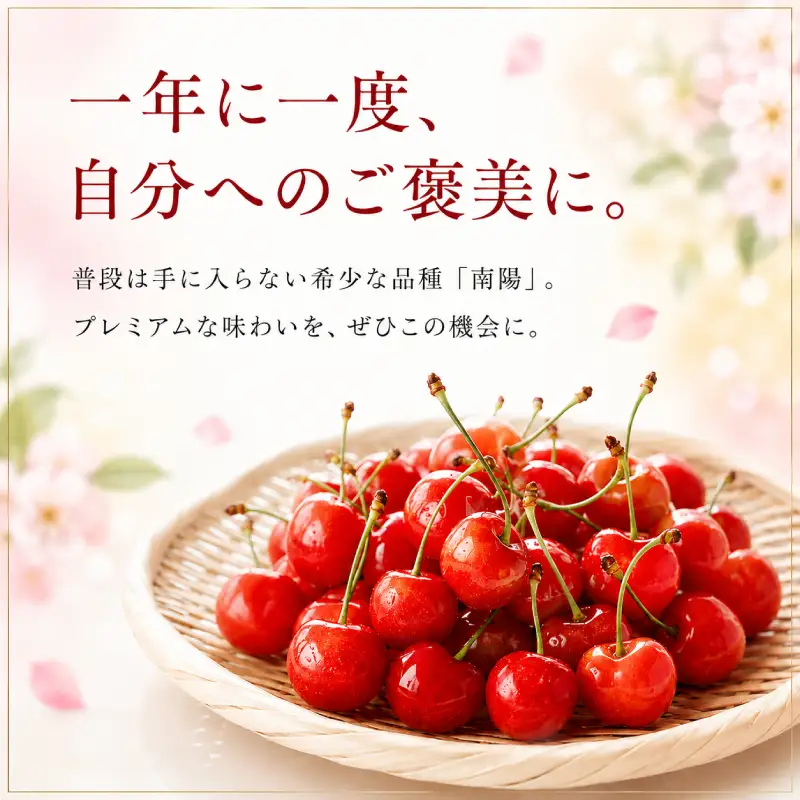 さくらんぼ 1.2kg 南陽 Lサイズ以上 サクランボ