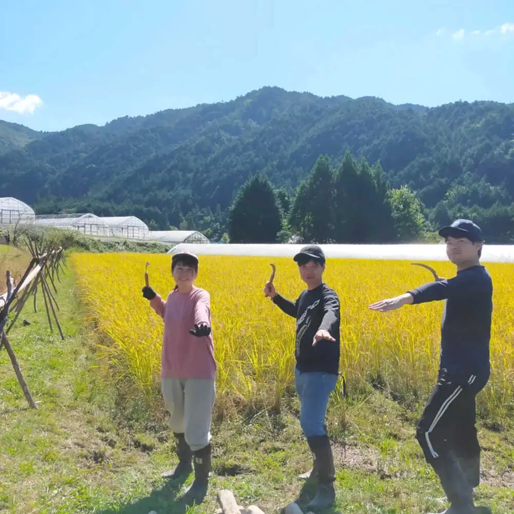 令和7年産 米 5kg 黒川つばくろ農園[AWCB001]米