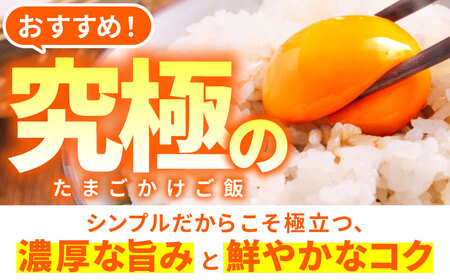【全6回定期便】お茶と海藻で健康育ち 元気卵 360個（60個×6回） / たまご タマゴ 玉子 鶏卵 / 亀山市 / 藪本養鶏園[AMBH010]