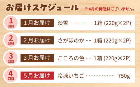 【先行予約 2027年1月〜発送】【4回定期便】淡雪・さがほのか・こころの色・冷凍いちご いちご