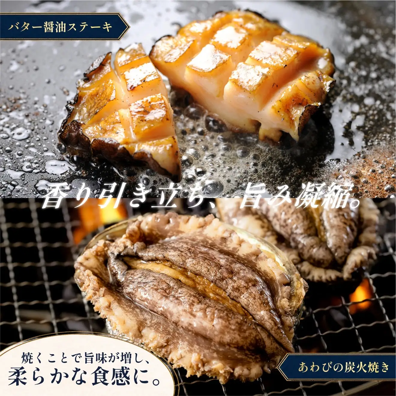 【10～12月発送受付】活アワビ ２kg 天然蝦夷あわび 利尻島産【期間限定】利尻昆布を食べて育った美味しいあわび [1060138]