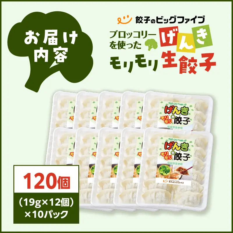 げんきモリモリ 生餃子 120個 K027-010_02 肉 豚肉 惣菜 総菜 冷凍