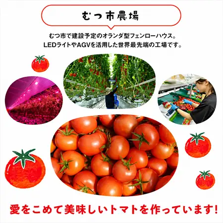 むつ市産　寅福菜園の「サステナブルトマト」訳あり4kg