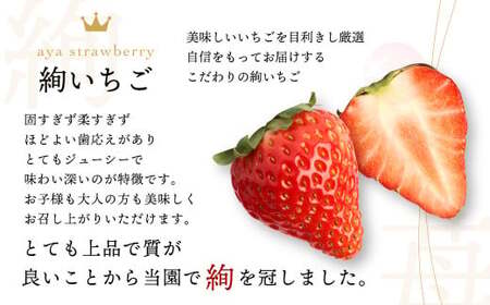 ＜ R8年熊本地震復興支援 ＞絢音ベリー農園 絢 いちご ゆうべに 500g （250g× 2パック） 熊本県産 フルーツ ギフト 厳選 イチゴ 苺 果物 【2026年12月上旬～2027年4月下旬迄順次発送予定】