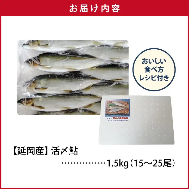 【2026年5月以降発送】延岡どれ鮎（冷凍）1.5kg N017-YA6615