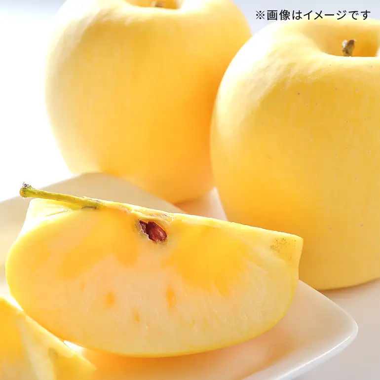 二戸産りんご はるか 約2.5kg (6~12玉) 008-0787x1