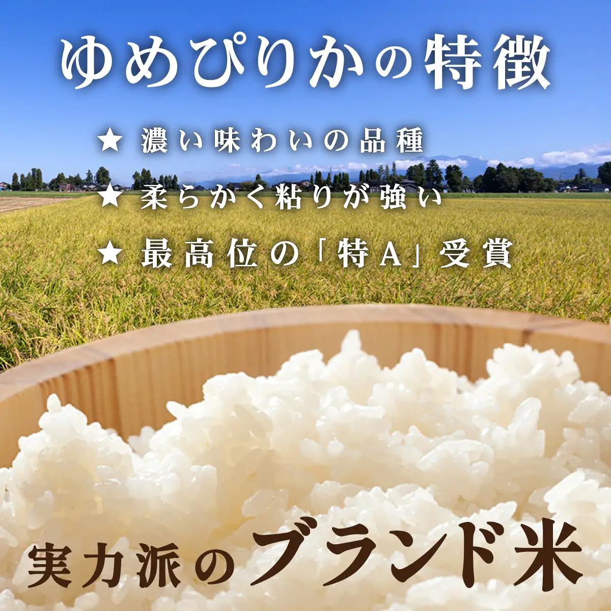 令和7年産 上志文産メープル米「ゆめぴりか」10kg