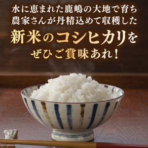 【3ヶ月定期便】★新米 令和7年★ 米 精米 白米 10kg（5kg×2袋）【総計 30kg】「こしひかり」先行予約 鹿嶋市産【令和7年産 コシヒカリ お米 コメ ごはん ライス ブランド米 茨城県 鹿嶋市】(KEJ-6)