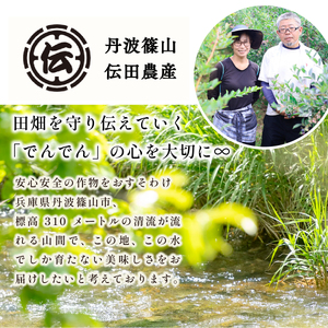 有機枝豆 〈丹波篠山黒枝豆 手選別〉 1kg 枝豆 [DDN11]