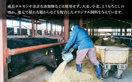 とちぎ和牛の切り落とし 400g（200g×2）【栃木県共通返礼品】 | 和牛 切り落とし 栃木県 茂木町