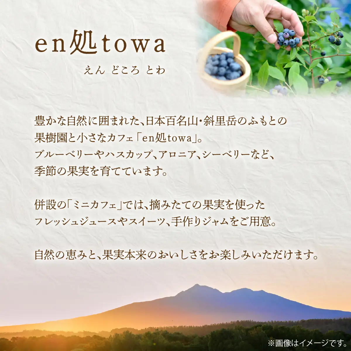 季節のコンフィチュール＆フルーツソースセット KYSD001