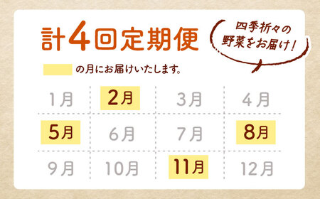 【年4回定期便】 季節の有機野菜セット 2〜3人分  [AXBV009]  北海道 詰め合わせ