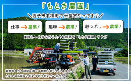 【先行予約】＜令和8年産 愛媛県西予市産 コシヒカリ 5kg（3回定期便）＞ 定期便 お米 コメ こめ 白米 精米 ご飯 新鮮 5キロ 愛媛県産 宇和町産 こしひかり 特産品 もとき農園 愛媛県 西予市【常温】『2026年10月・11月頃から順次発送予定』 UMK0011