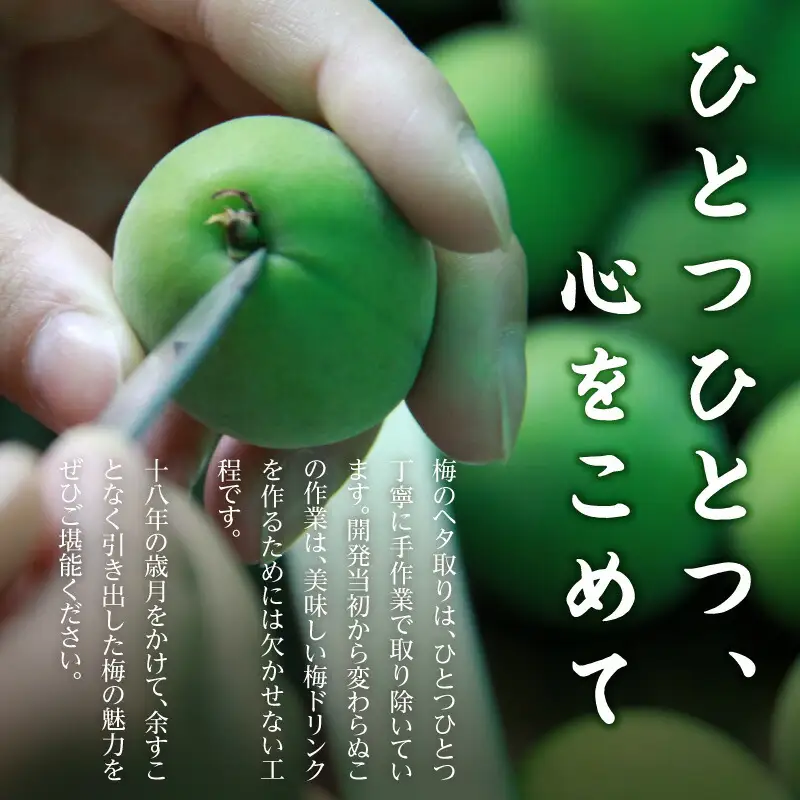 18年熟成 『梅寿酢（Ume Juice）』  300ｍｌ 2本セット 国産梅 無添加 こだわり 飲料 18年以上 熟成 エキス 清涼飲料水 食前 シロップ アイスクリーム 七福醸造 H001-123 H001-123