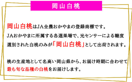 岡山白桃 ロイヤル 4～6玉 約1kg 岡山県産  【2026年7月上旬～8月下旬迄発送予定】 ／ 白桃 桃 もも 果物 果実 フルーツ 岡山県 美咲町 冷蔵