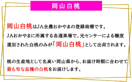 岡山白桃 ロイヤル 8～16玉 約4kg 岡山県産 （早生種・中生種） 【2026年7月上旬～8月下旬迄発送予定】 ／ 白桃 桃 もも 果物 果実 フルーツ 岡山県 美咲町 冷蔵