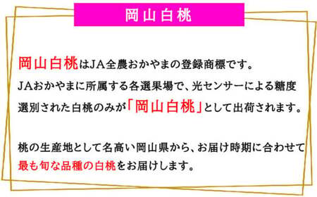 岡山白桃 エース 4～6玉 約1kg 岡山県産  【2026年7月上旬～8月下旬迄発送予定】 ／ 白桃 桃 もも 果物 果実 フルーツ 岡山県 美咲町 冷蔵
