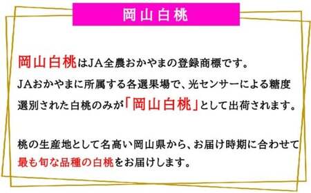 岡山白桃 エース 8～16玉 約4kg 岡山県産 （早生種・中生種） 【2026年7月上旬～8月下旬迄発送予定】 ／ 白桃 桃 もも 果物 果実 フルーツ 岡山県 美咲町 冷蔵