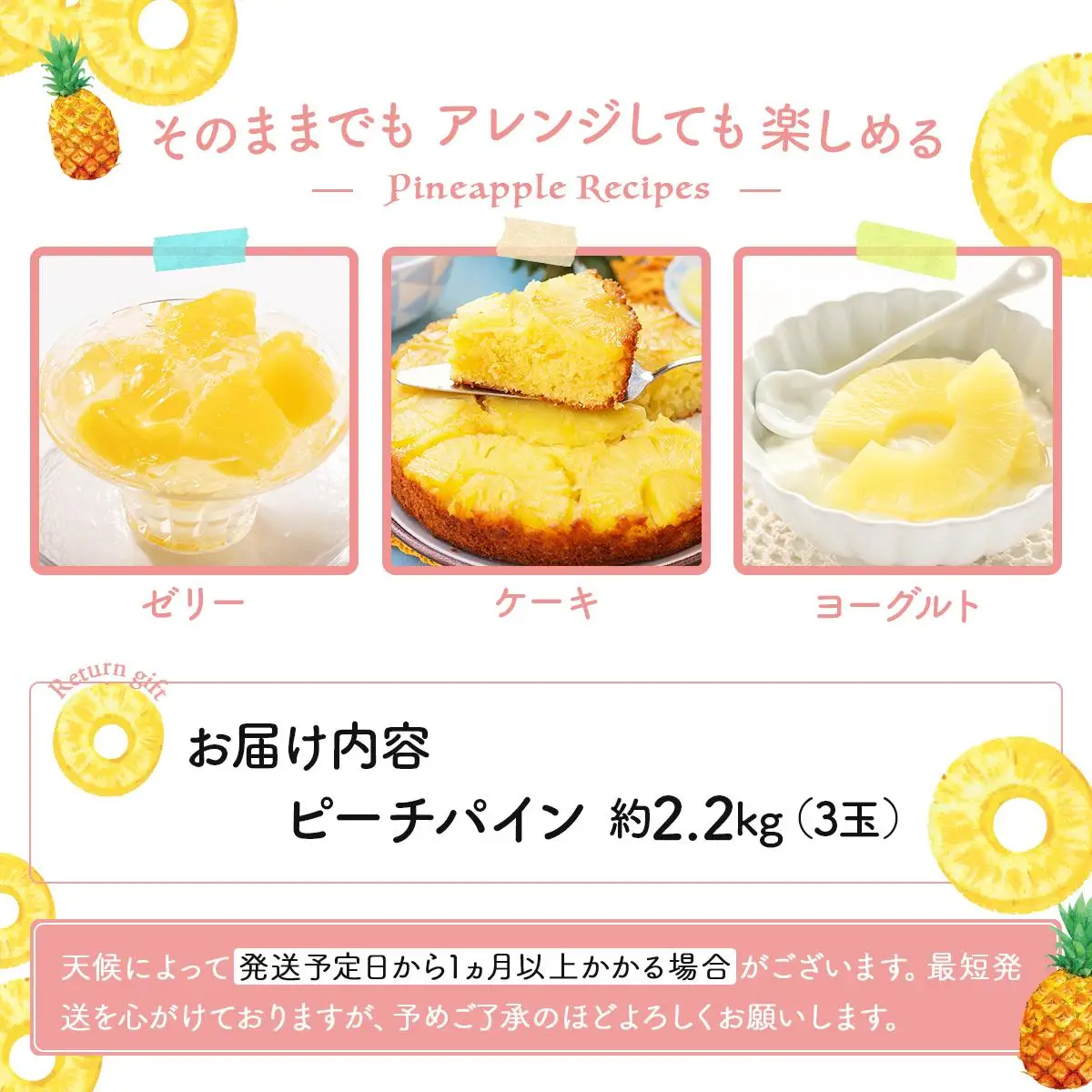 【2027年先行予約】ピーチパイン 約 2.2kg 