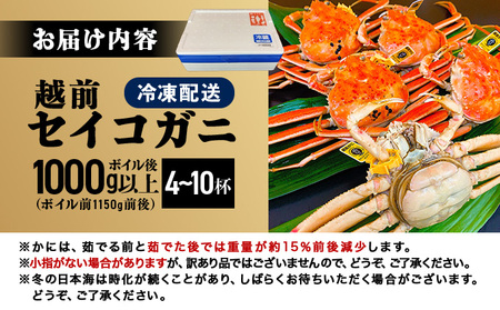 越前セイコガニ 　ボイル後1,000g以上 (ボイル前1,150g前後) [090-a018]