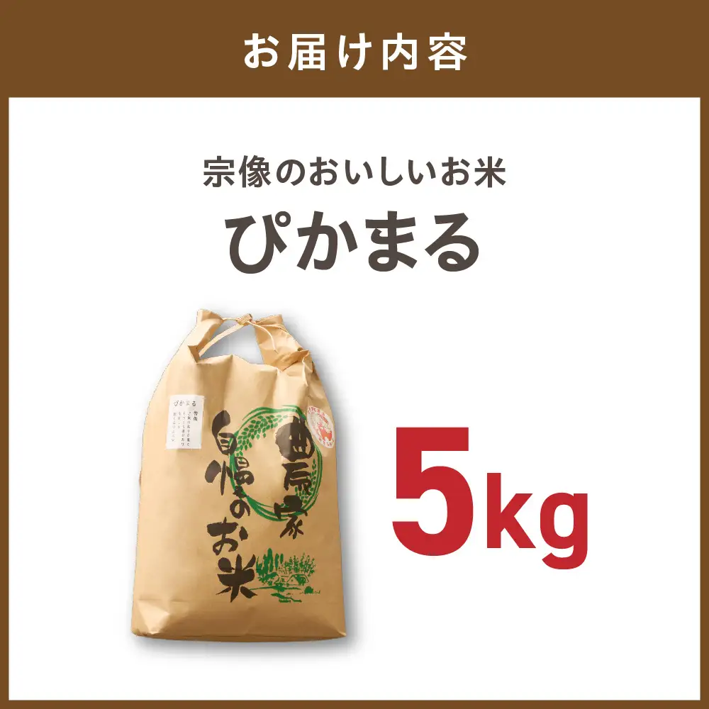 むなかた産 米 ぴかまる 5kg【みきふぁーむ】_HA1543