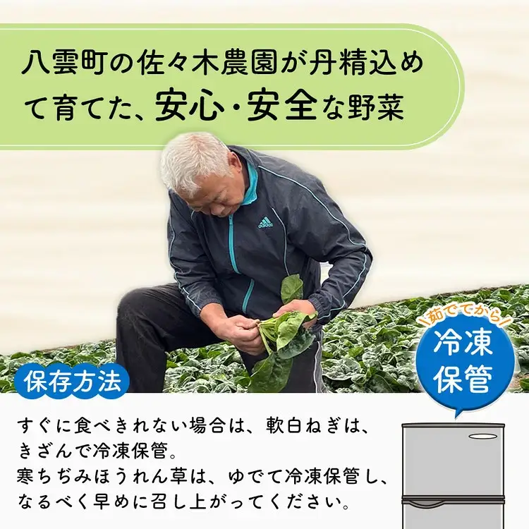 【先行予約】八雲産 軟白ねぎ 1kg + 寒ちぢみ ほうれん草 800g セット ※2026年12月～発送