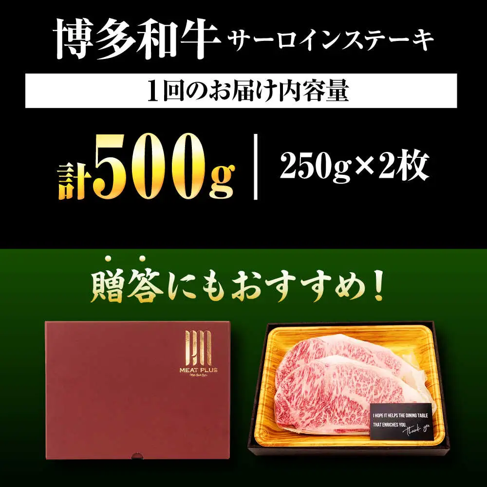 【全12回定期便】【A4-A5】博多和牛 サーロインステーキ 500g(250g×2枚) [BGAB114]