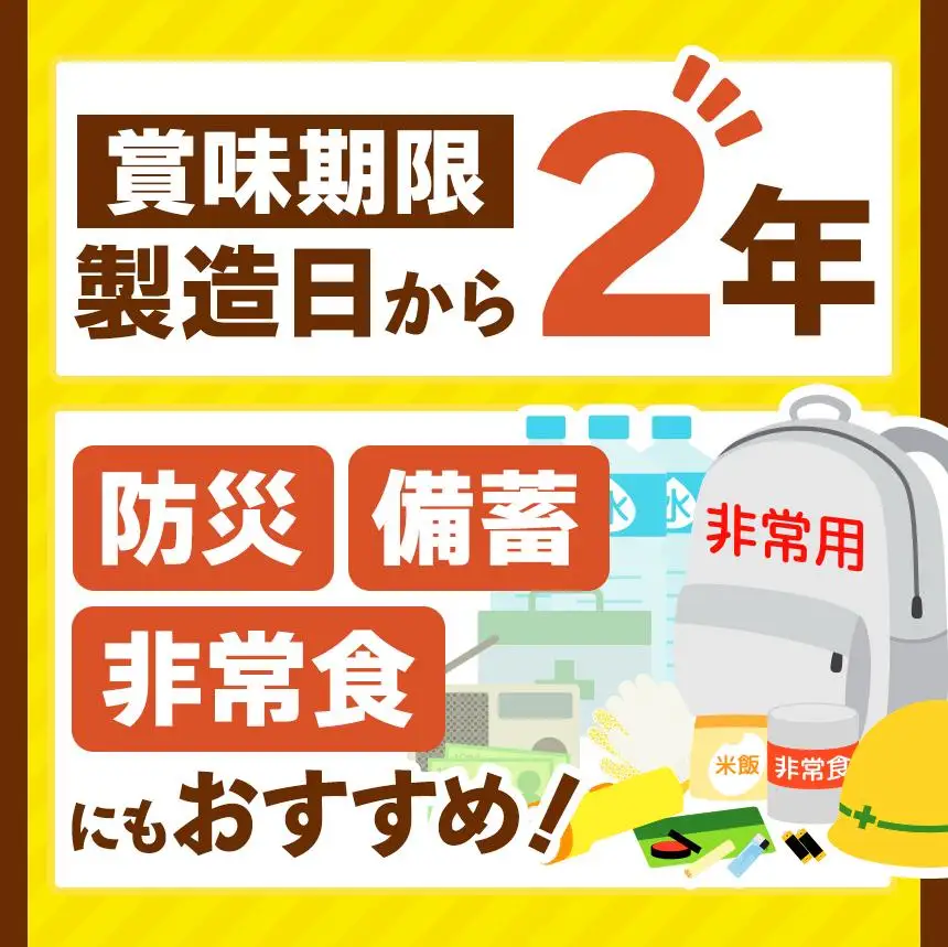 【定期便6回】ココイチ レトルト カレーNセット（ビーフ10個） (毎月お届け）｜CoCo壱番屋 常温保存 非常食 簡単 時短 