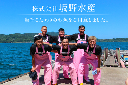 刺身 ヒラマサ 平戸なつ香 ヒラス 半身 約1kg
