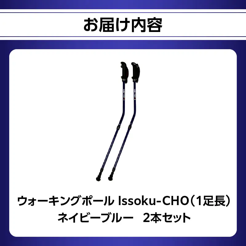 ウォーキング Issoku-CHO（1足長） ネイビーブルー 2本セット R17015