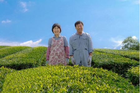 美濃おおがき茶詰合せ