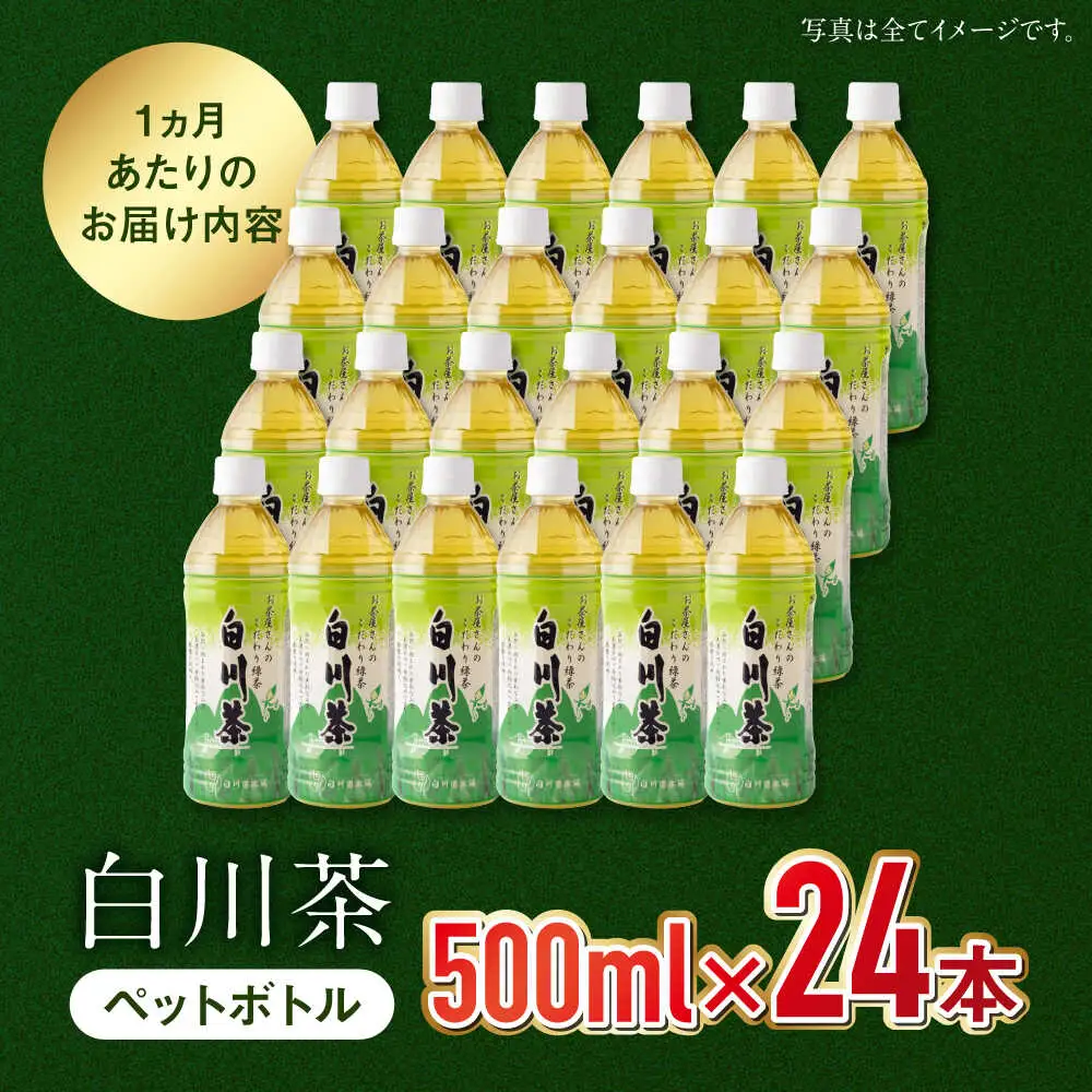 【6回定期便】緑茶ペットボトル 500ml×24本入 / 白川園本舗[AWAT007]緑茶