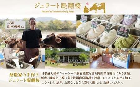 【ジェラート醍醐桜】恋するジャージーいちご 6個セット / 岡山 真庭 【nhss013-01】