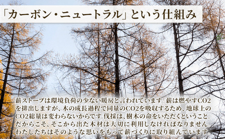 ［十勝管内限定］北海道産 薪ストーブ用 ミズナラ薪 3立米分 庭先ダンプ下ろし（30～35cm/1本）TOKACHI FIRE WOOD【 薪 広葉樹 ナラ 焚き火 ストーブ キャンプ ピザ窯 暖炉 サウナ 乾燥薪 焚き付 太割 アウトドア グランピング BBQ 北海道 十勝 幕別 】