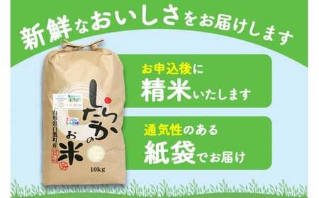 【令和7年産】〈白米〉 つや姫 10kg ＜1回のお届け＞ （特別栽培米） 山形県産 しらたかのお米 【2025年11月上旬発送開始予定】
