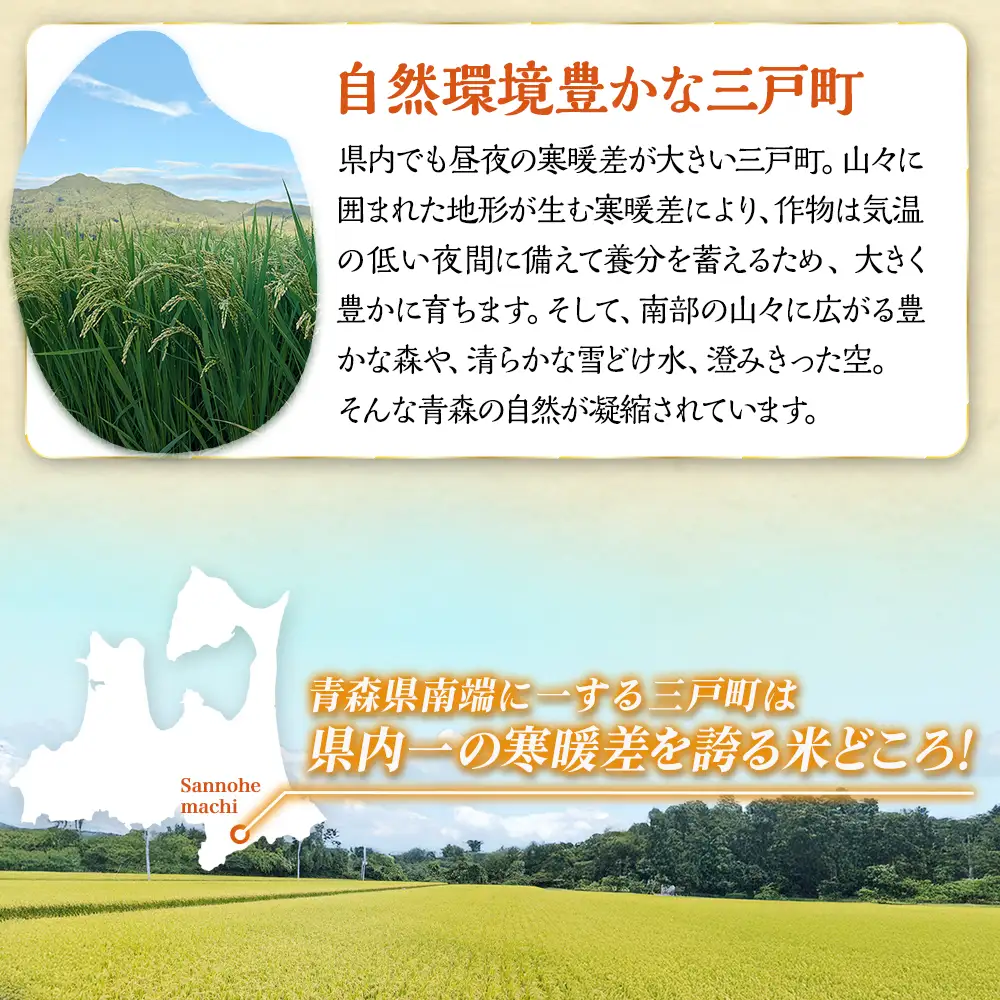 【6回定期便】新米 青森県産米 はれわたり 10kg 12月～発送 定期便 特Ａ ブランド米 【令和8年産先行予約】