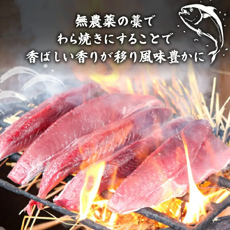 【訳あり】 【冷蔵】 かつお刺身と藁焼きタタキ 500g 鰹 かつお