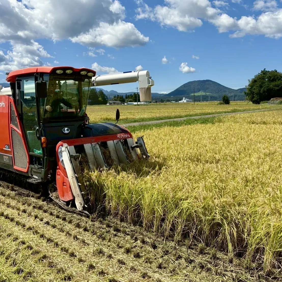 令和8年産 つや姫 5kg×3回定期便 つや