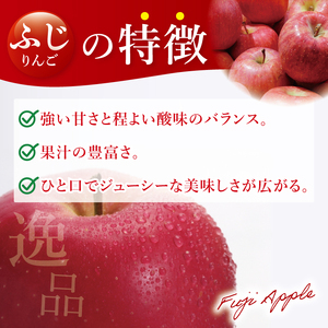 【数量限定】【11月より順次発送予定】三村観光りんご園の奥久慈りんご「ふじ」約3kg｜茨城県 大子町 林檎 旬 果物 フルーツ 果実 果汁 ギフト 贈答 甘い ジューシー みずみずしい（BX009）