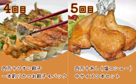 【 5回定期便 】 簡単調理 でごちそう！ 四万十のおかず定期便 5回 毎月届く カツオ うなぎ コロッケ 餃子 ギョーザ チキン おかず 惣菜 ごちそう 夕食 調理済み 定期便 高知 四万十市 四万十 しまんと 39210-999-9006