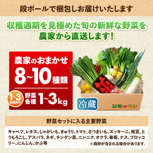 ジモベジ野菜セット (a10-1232)