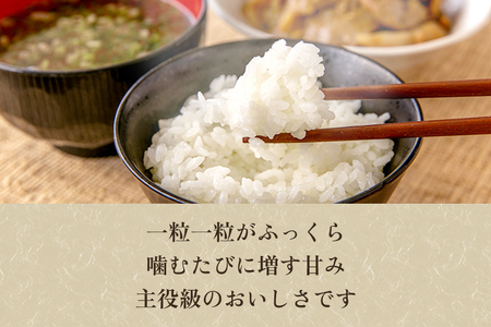 【令和8年産新米先行予約】新潟県 加茂市産コシヒカリ 精米15kg（5kg×3）《10月上旬～順次出荷》 （株）ライスグローワーズ