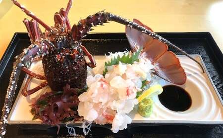 伊勢海老 1kg以上 伊勢エビ イセエビ 海鮮 魚介 冷蔵 愛媛県【2026年9月上旬-2027年4月下旬発送予定】 （846）